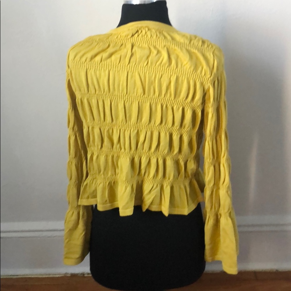 Zara Mustard Yellow Ruffle Top - Picture 2 of 4